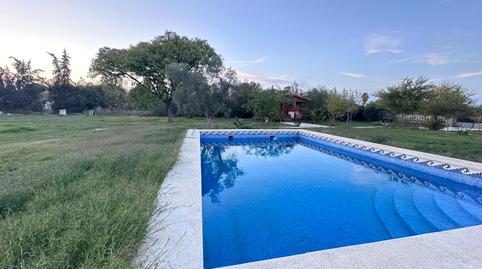 Photo 3 of House or chalet for sale in Sanlúcar la Mayor, Sevilla