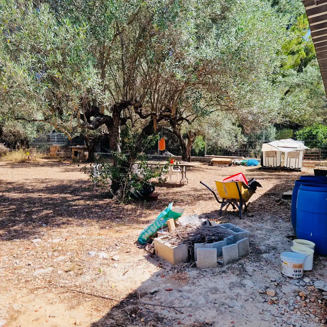 Villa avec jardin à vendre à Parcent, imagen 9