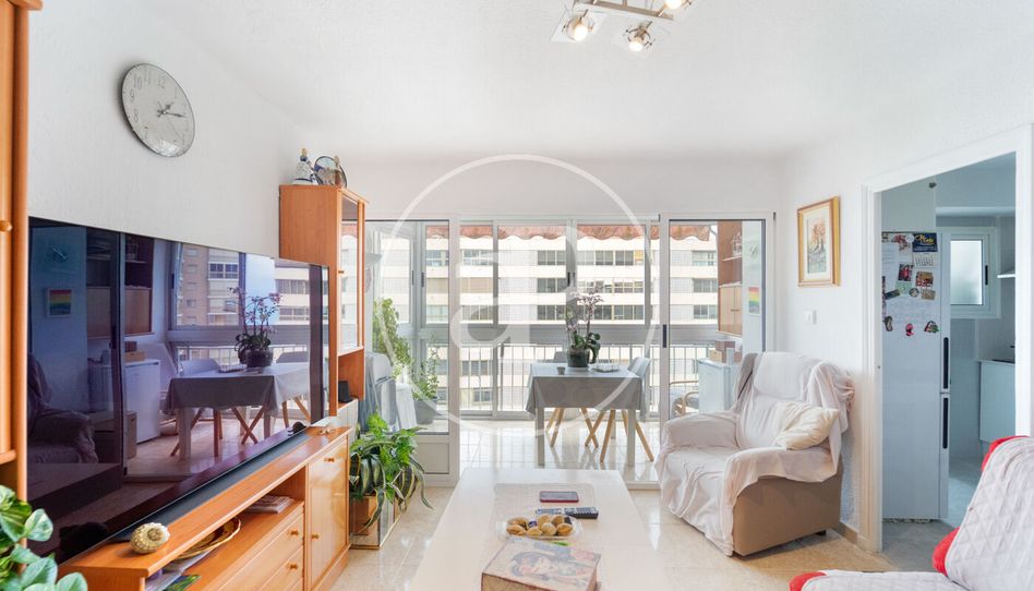Piso en venta en Avinguda de la Vila Joiosa, Playa Poniente - 3