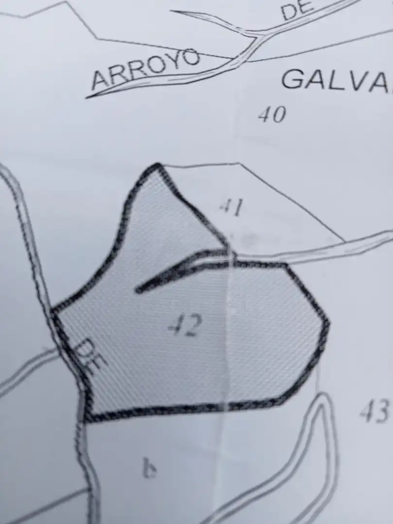 Terreny rústic en venda a Residencial Jardín Botánico, imagen 4