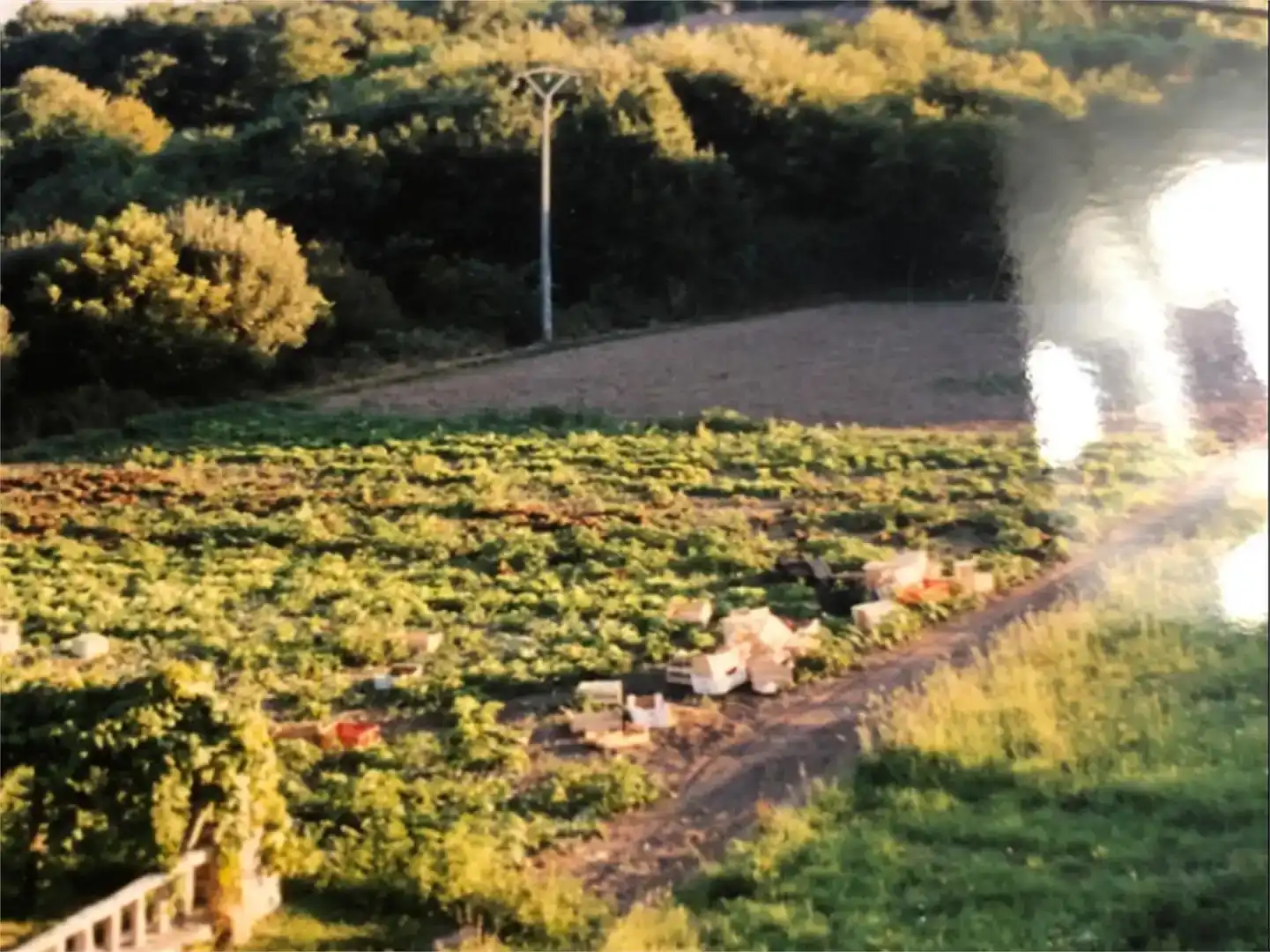 Finca rústica en venda en O Rosal  