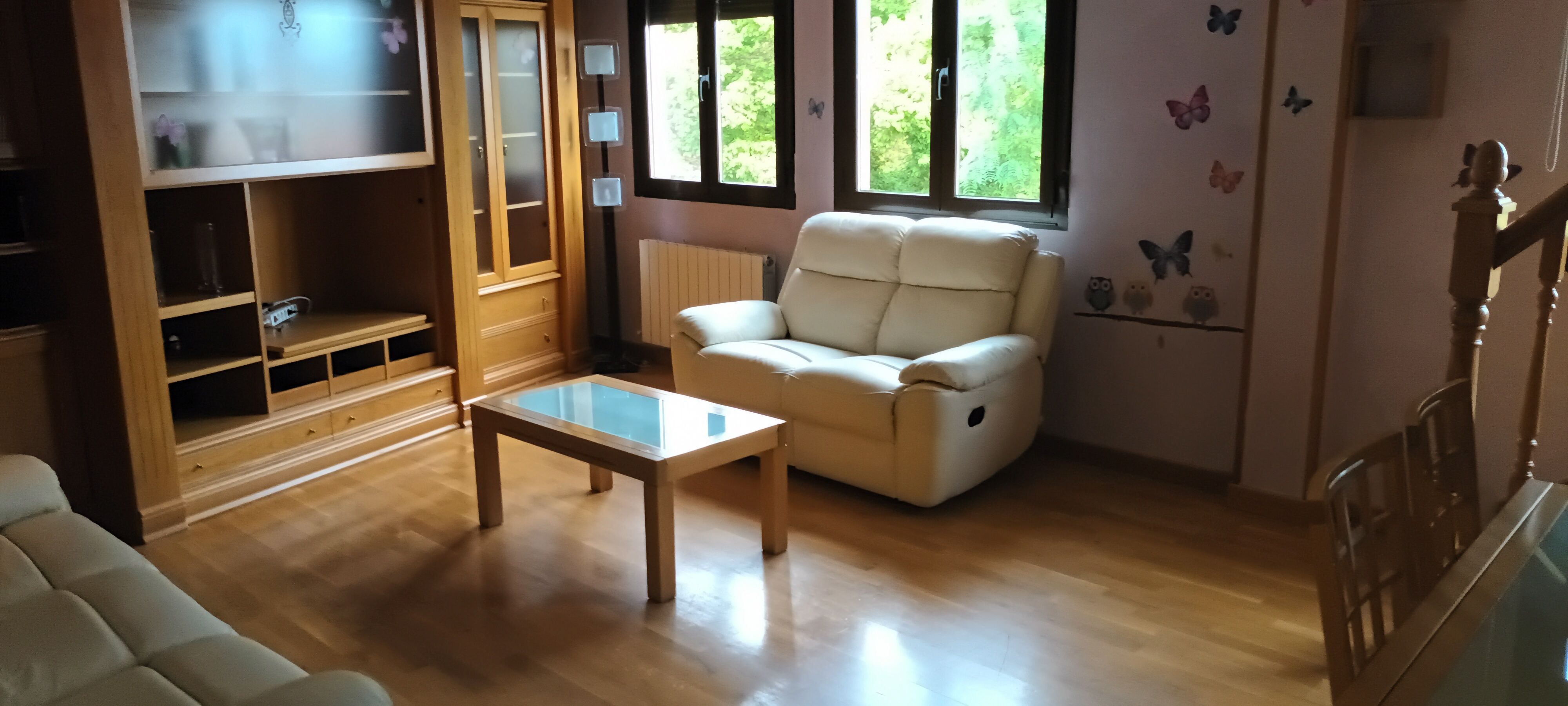 Sala d'estar de Dúplex de lloguer en Segovia Capital amb Aire condicionat, Calefacció i Parquet