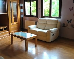 Living room of Duplex to rent in Segovia Capital  with Air Conditioner, Heating and Parquet flooring