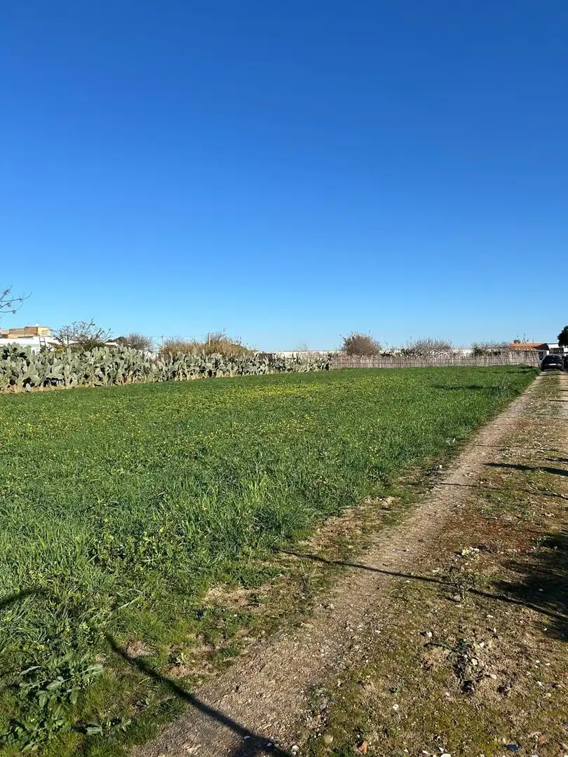 Grundstücke zum Verkauf in Chipiona