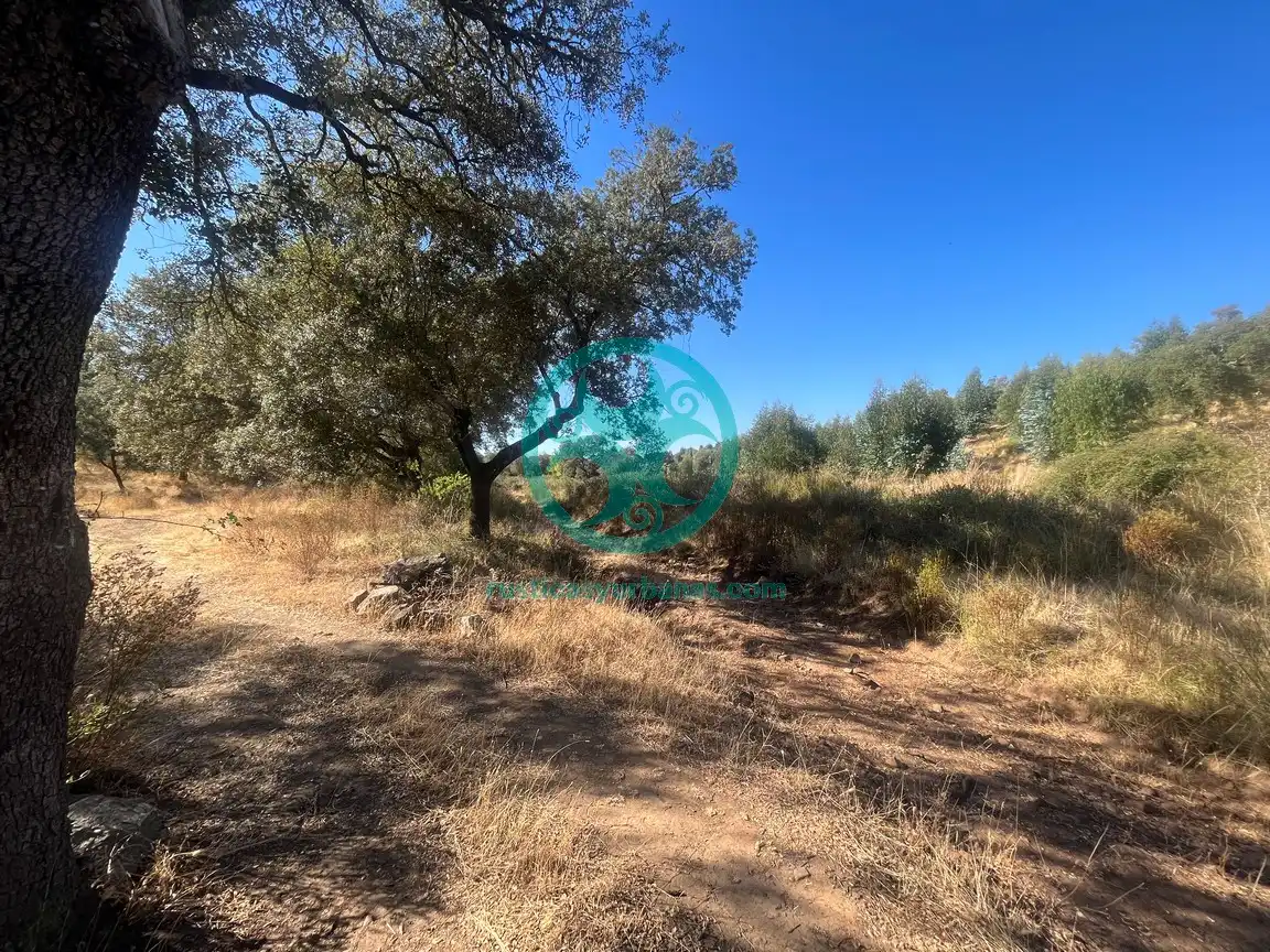 Terreni e lotti in vendita a Valdesalor - Rincón de Ballesteros, imagen 5