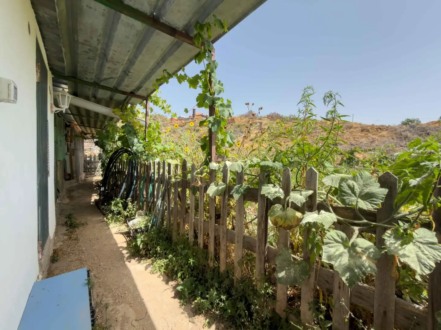 Jardí de Finca rústica en venda en Güímar
