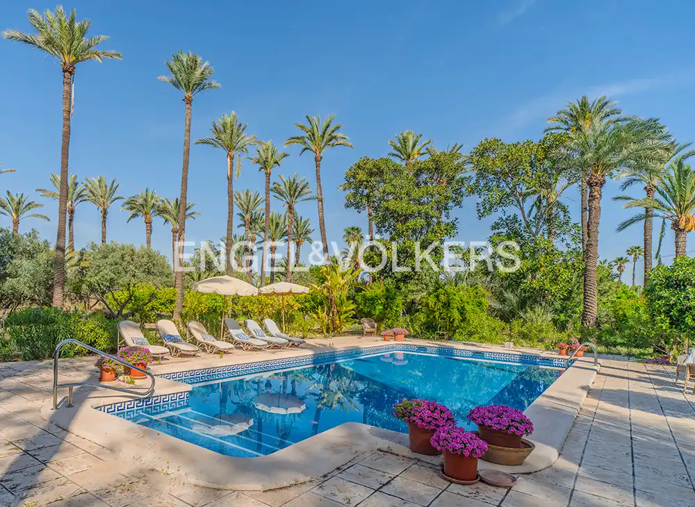 Piscina de Casa o xalet en venda en Elche / Elx amb Calefacció, Jardí privat i Terrassa