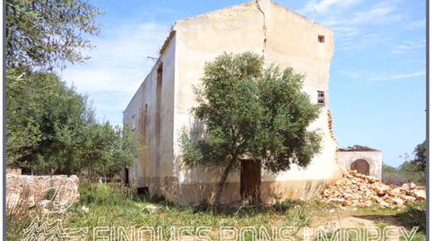 Photo 5 of Land for sale in Camino Sta Magdalena, Sn, Zona Periurbana, Inca