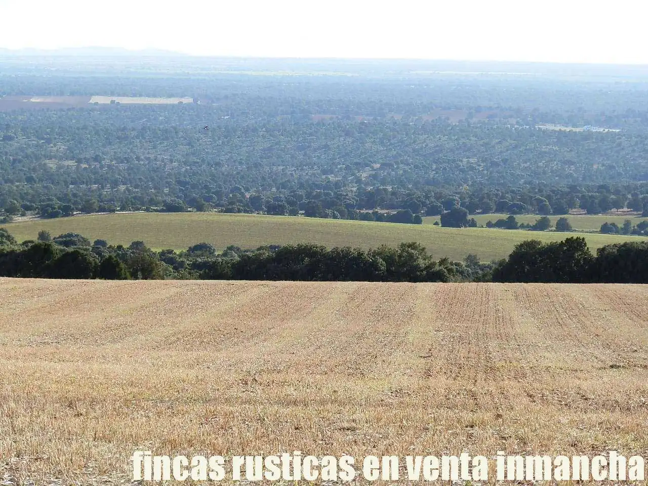 Lands and plots for sale in Ossa de Montiel, imagen 17