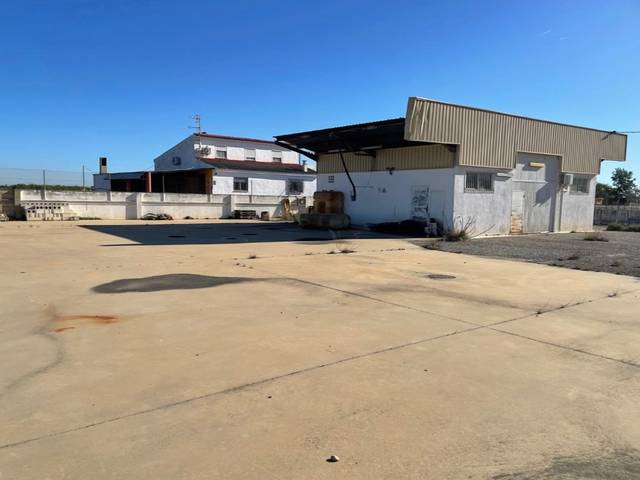 Terreno en Venta en Calle Proyecto 16, 0 en Polígono Carretera de Ulldecona