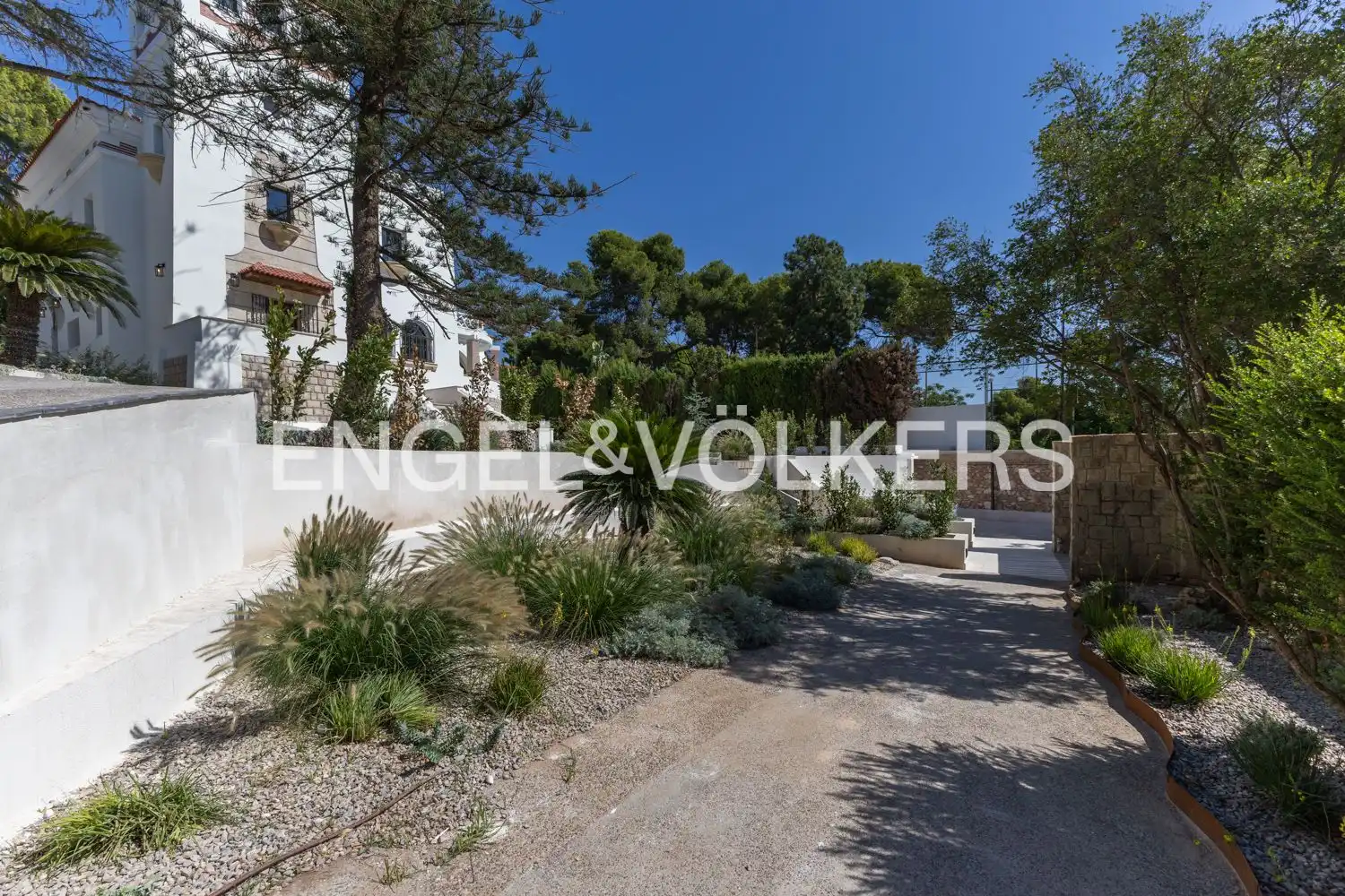 Casa o xalet de lloguer a Avinguda Acàcies, Campolivar