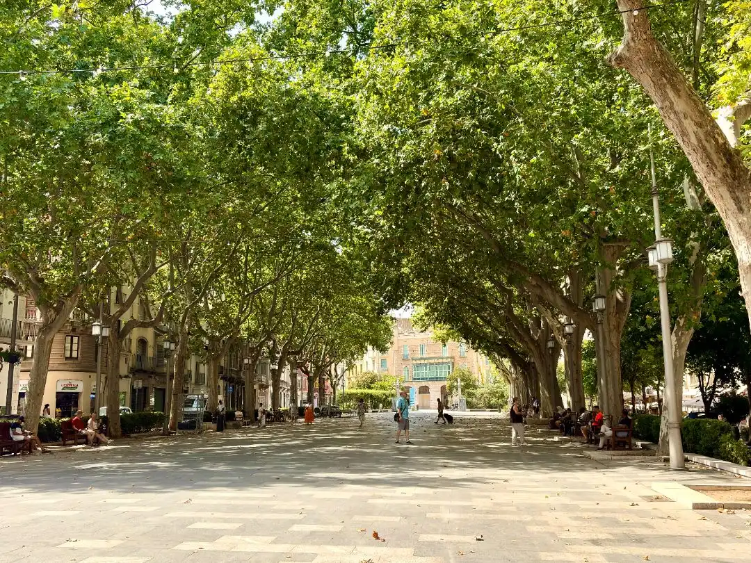 Maisonette zum Verkauf in Plaza de la palmera 3, imagen 25