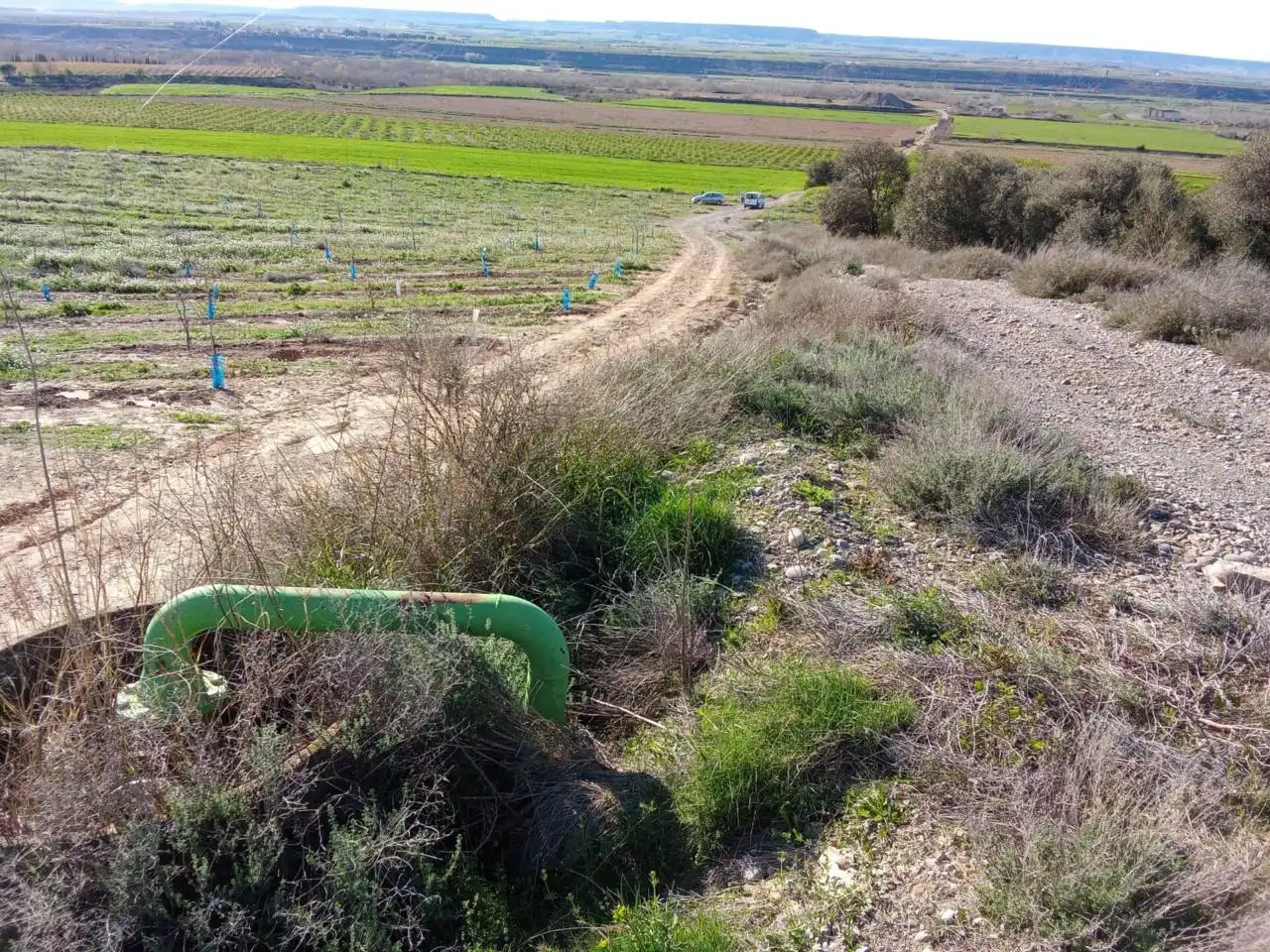 Terreno en venta en Alfántega