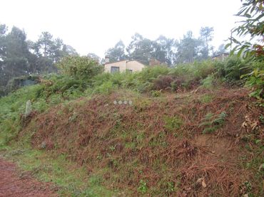 Terreno residenziale in vendita a Mos