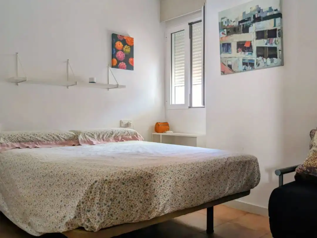 Apartament amb jardí de lloguer a Avenida de  las  Gaviotas 167, imagen 14