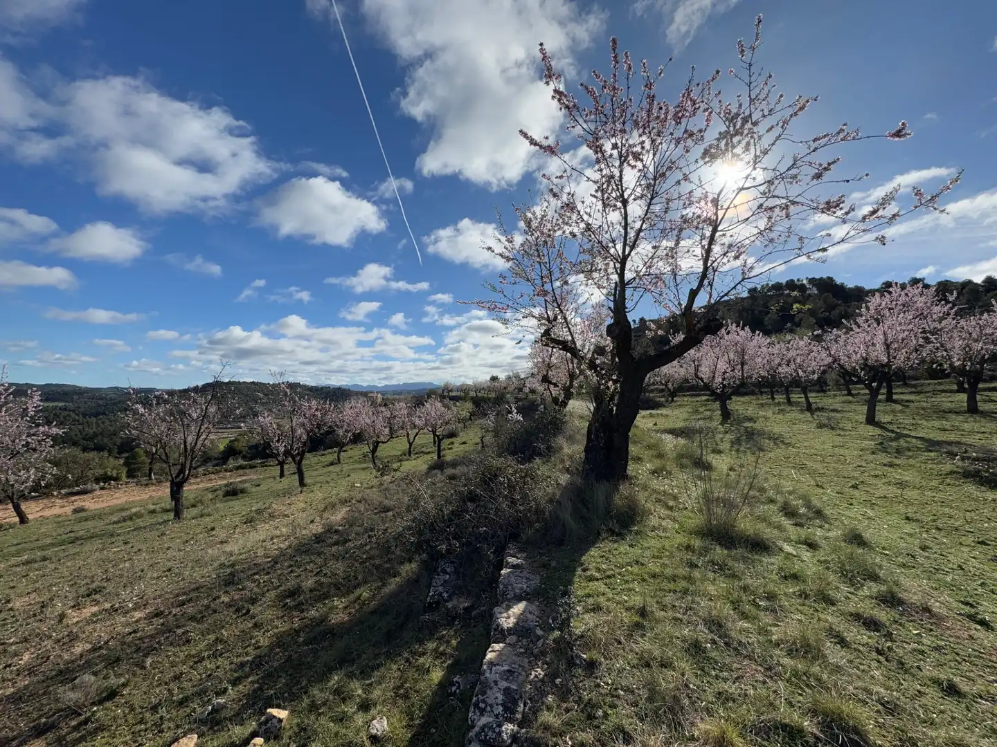 Terreni e lotti in vendita a Valderrobres, imagen 15