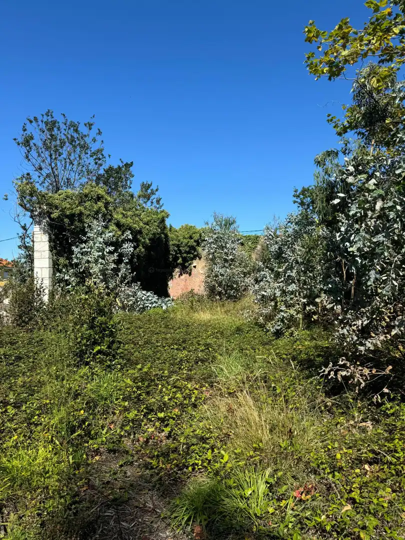 Casa o chalet en venta en Gozón
