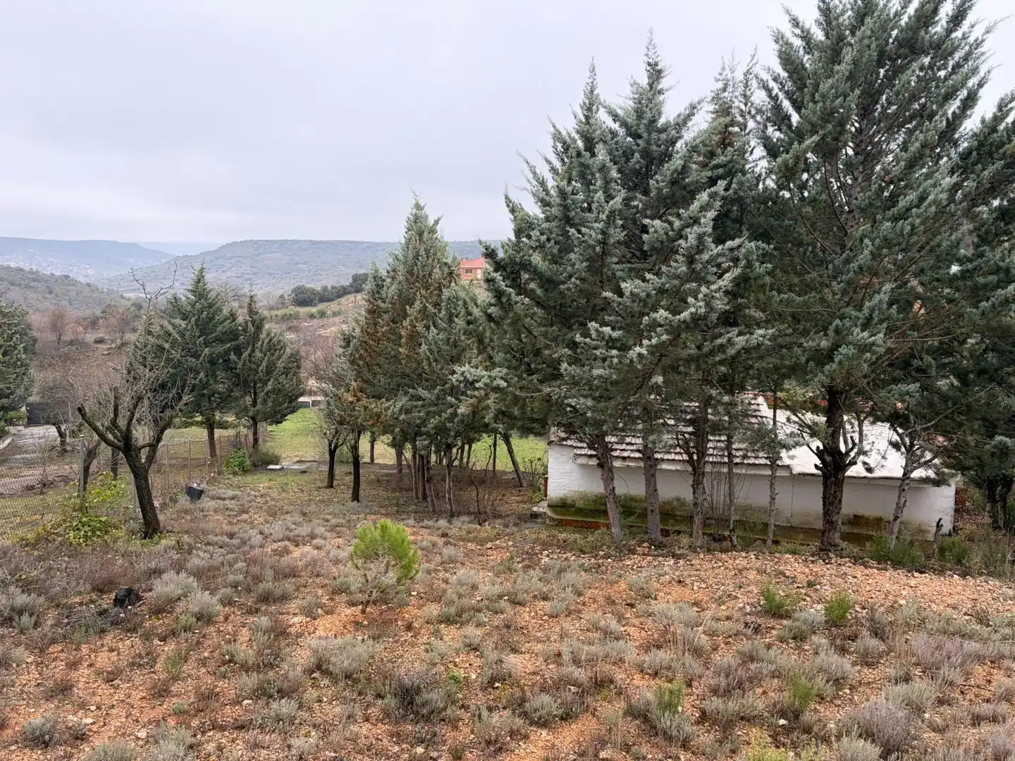 Finca rústica en venta en Pioz