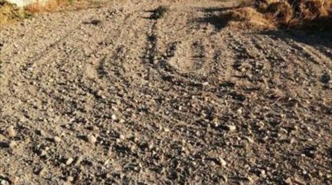 Foto 3 de Terreno en venta en Moriles, Córdoba