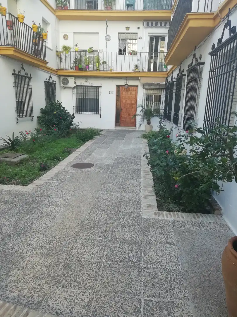 Vista exterior de Piso en venta en Écija