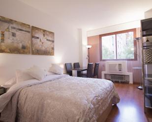 Study to rent in  Madrid Capital