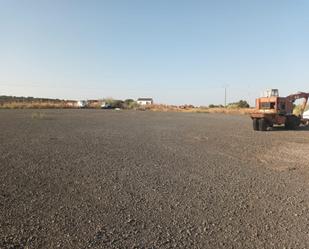 Terreny industrial en venda en Carrión de Calatrava