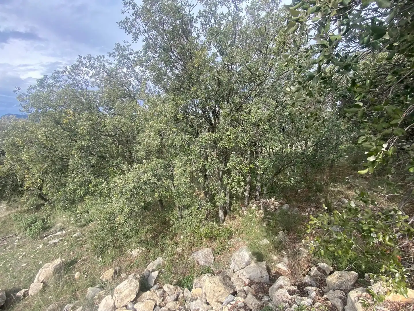 Terreni e lotti in vendita a Alcalá la Real, imagen 46