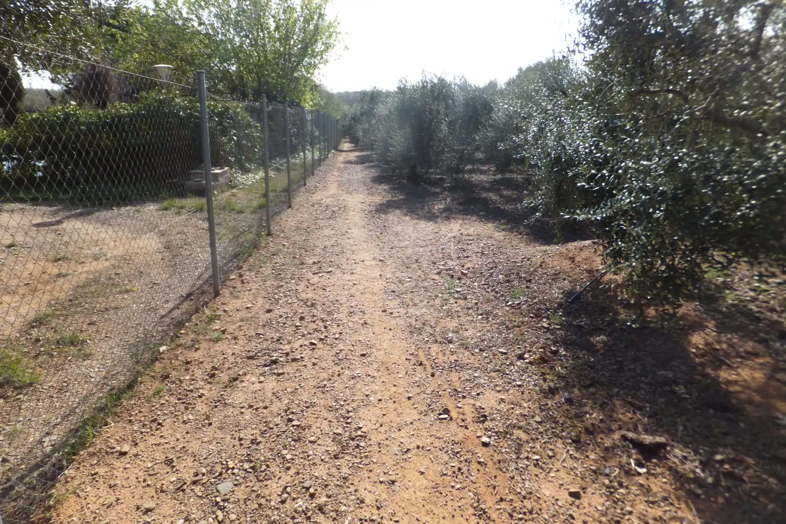 Terreno residencial en venta en Riudoms, imagen 20