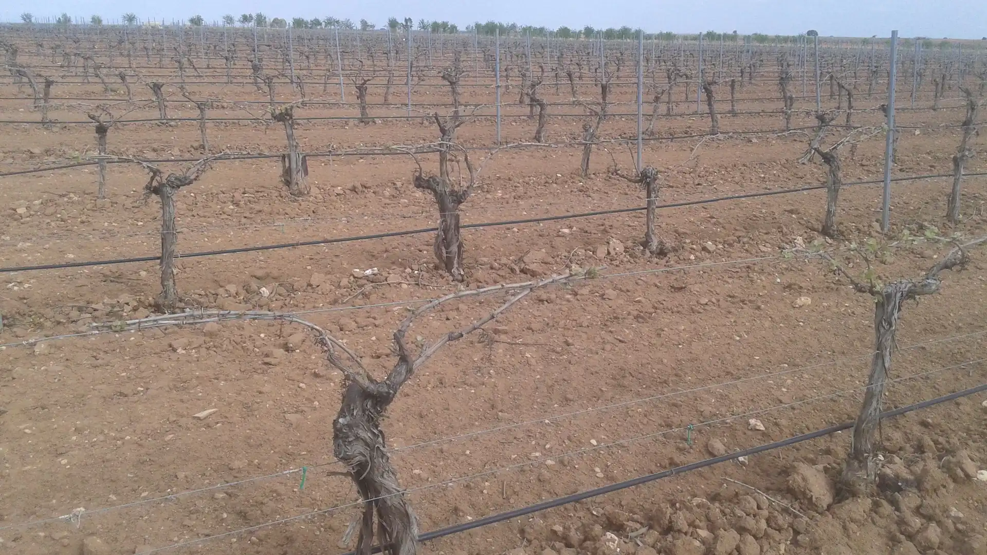 Terrenys i solars en venda a Las Mesas, imagen 22