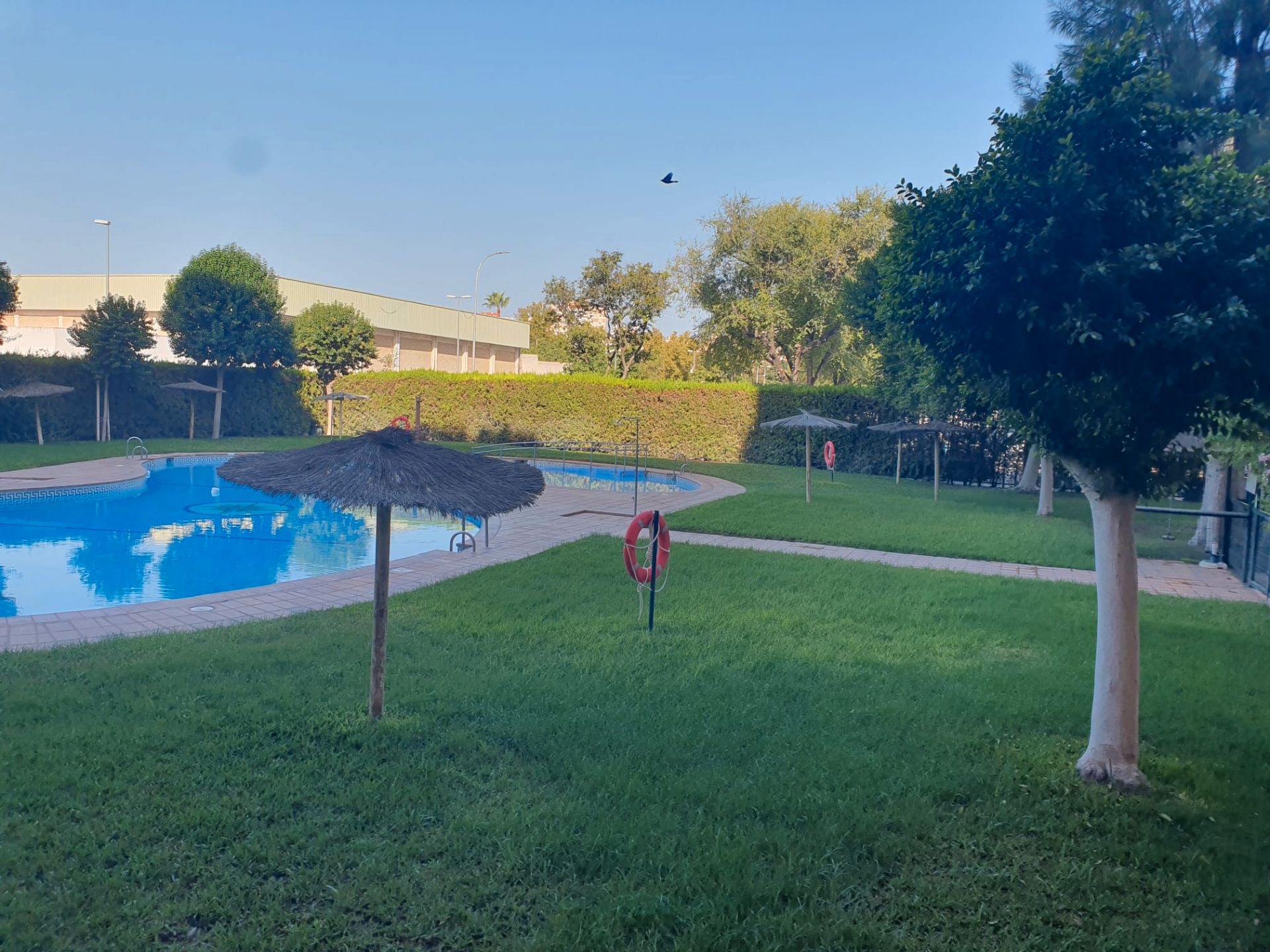 Piscina de Pis en venda en  Sevilla Capital amb Piscina comunitària