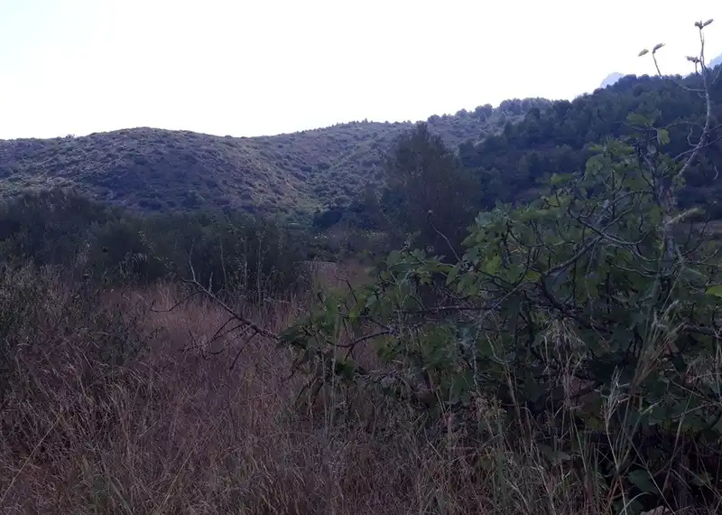 Terreno residencial en venta en Polígono 1 Parcela 130 RACONS DE PEGO, imagen 9