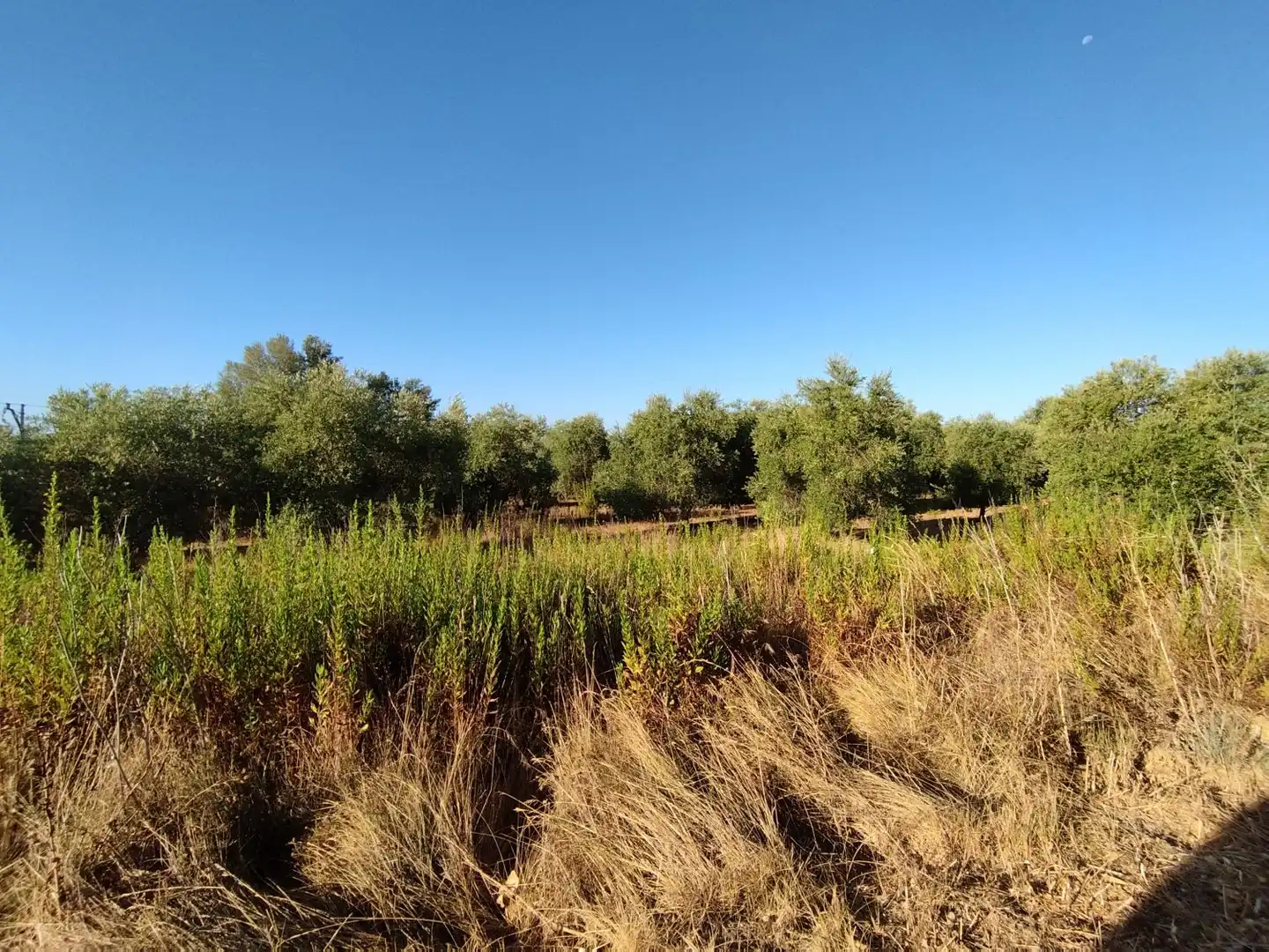 Casa rústica en venda a Puigverd de lleida, imagen 2