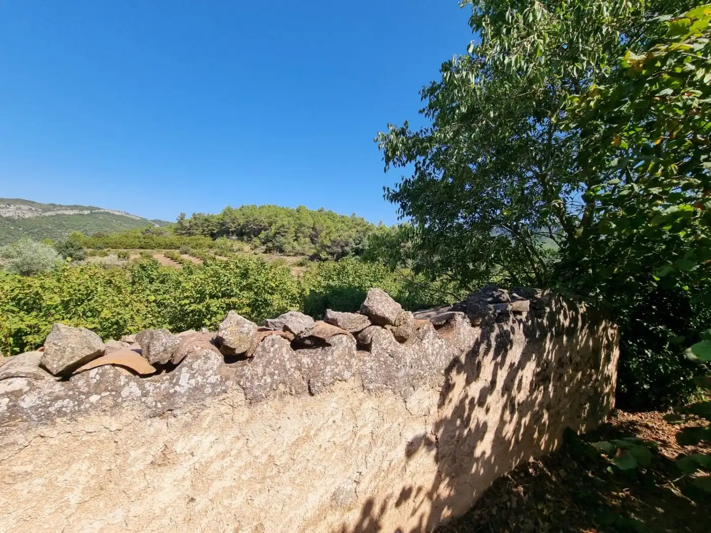 Terrain rustique à vendre à Tivissa