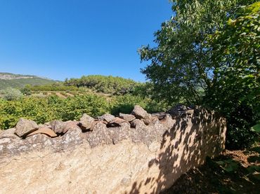 Terreny rústic en venda a Tivissa