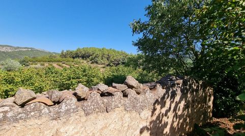 Fincas Rústicas en tivissa con construcción