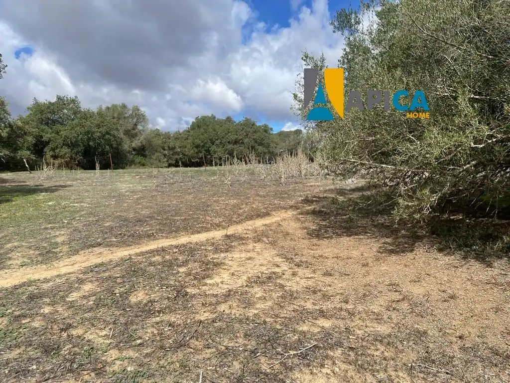 Terreni e lotti in vendita a Vejer, imagen 19