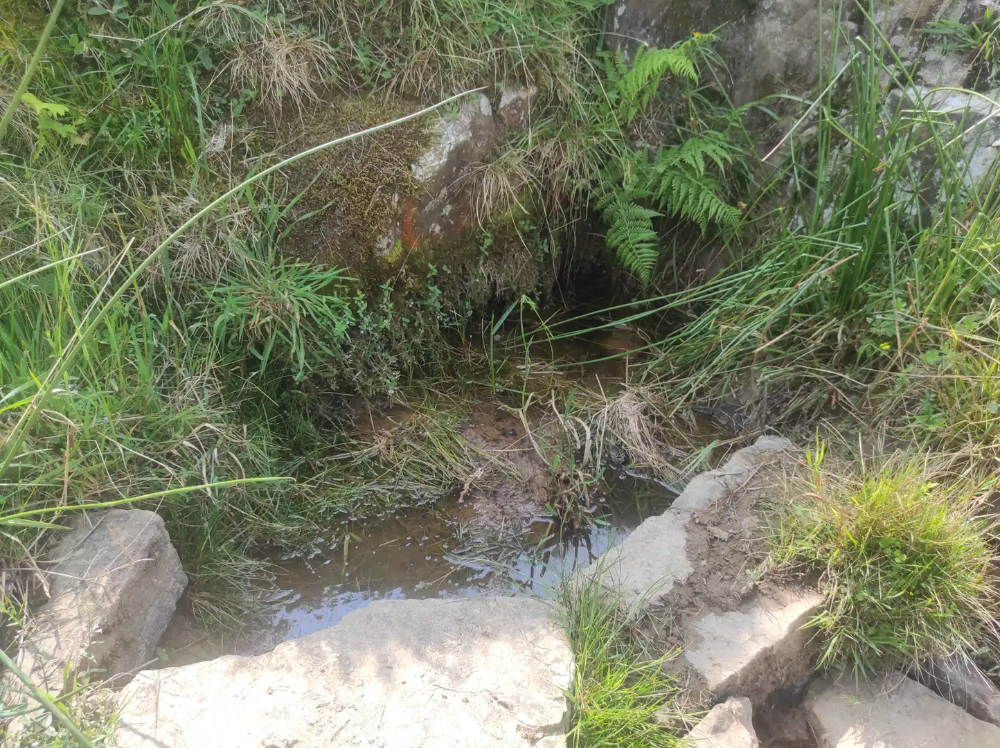 Casa rústica amb jardí en venda a Vega de Pas, imagen 14