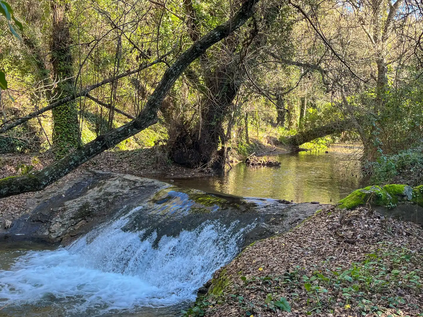 Außenansicht von Grundstücke zum Verkauf in La Nava