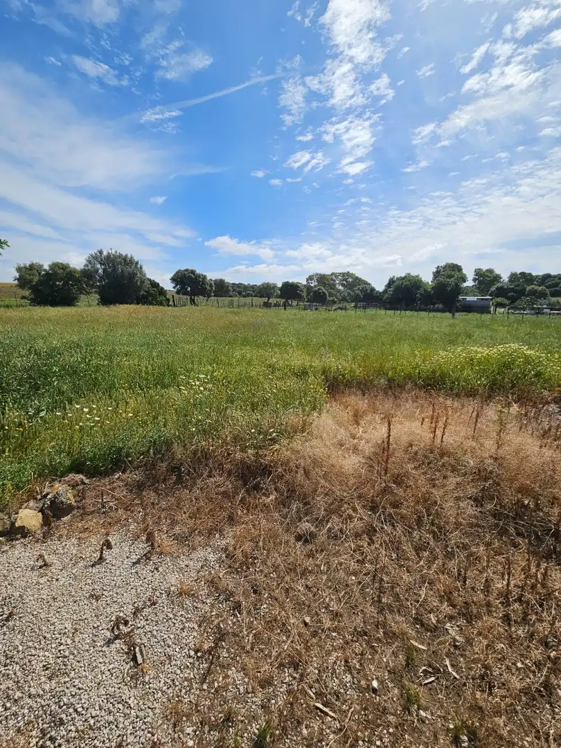 Maison rustique à vendre à Vejer, imagen 4