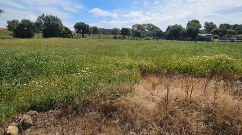 Foto 4 de Finca rústica en venta en Vejer, Vejer de la Frontera