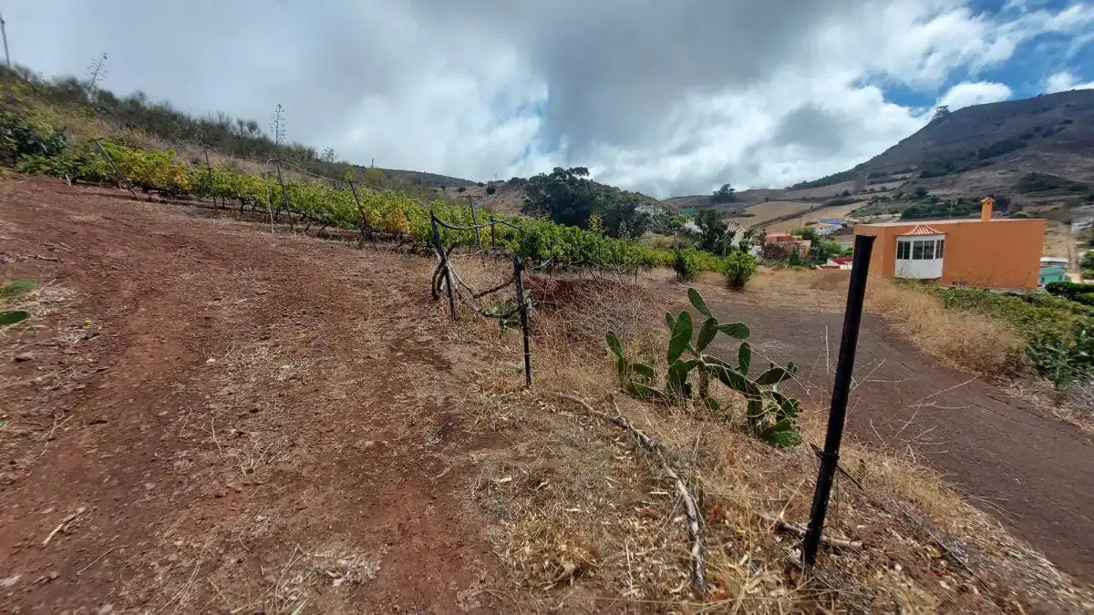 Country homes for sale in San Cristóbal de la Laguna  with Terrace