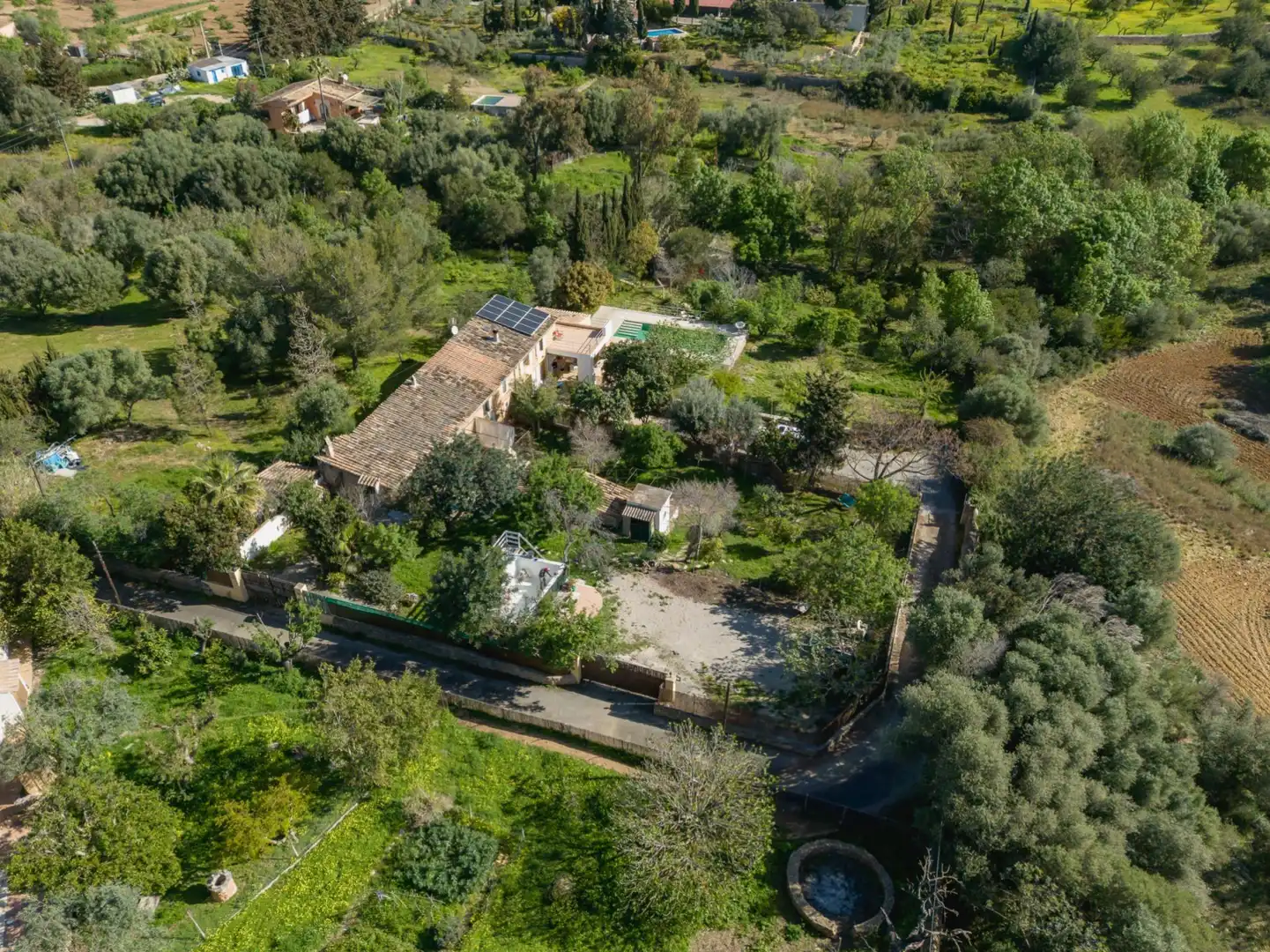 Vista exterior de Casa o xalet en venda en  Palma de Mallorca amb Parquet, Terrassa i Traster