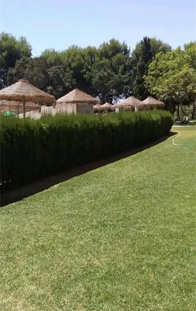 Habitatge amb ascensor en venda a Parque de la Paloma, imagen 13