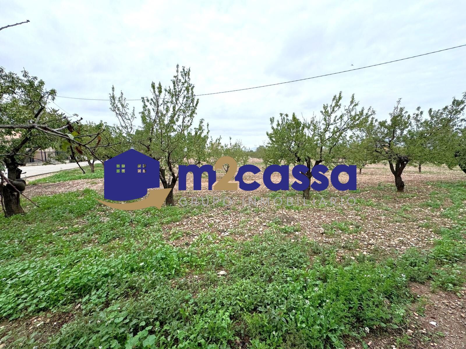 House or chalet for sale in Lorca  with Private garden and Terrace