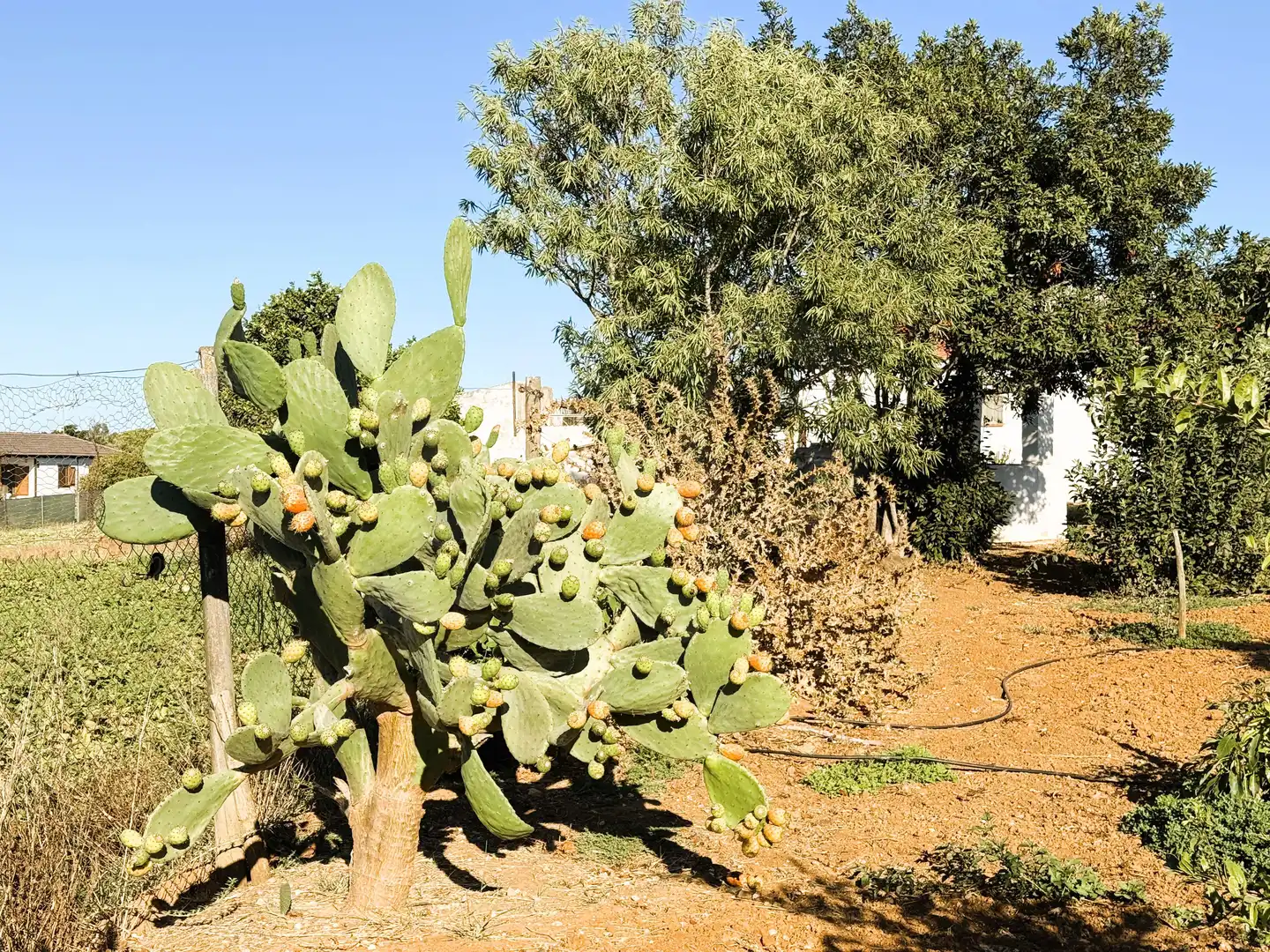 Terreni e lotti in vendita a DS PAGO MELILLA 536 POLIGONO 16 PARCELA 536, imagen 3