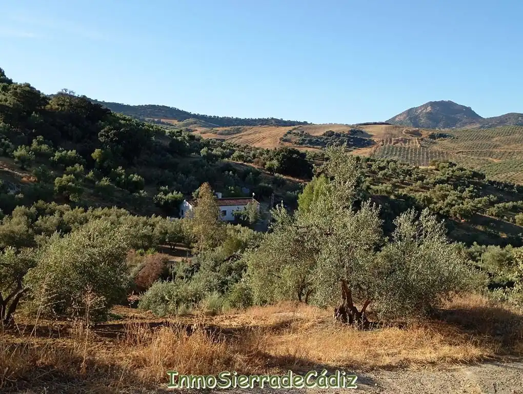 Casa rústica en venda a Paraje Natural Cabañas, imagen 17