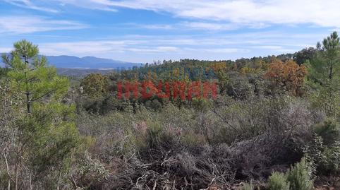 Foto 5 de Casa o xalet en venda a Puerto de San Vicente, Toledo