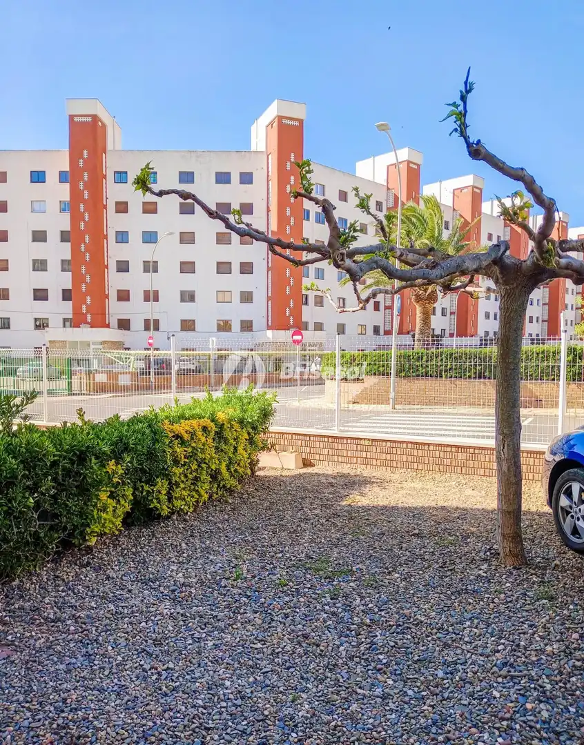 Vista exterior de Apartamento en venta en Mont-roig del Camp con Terraza y Amueblado