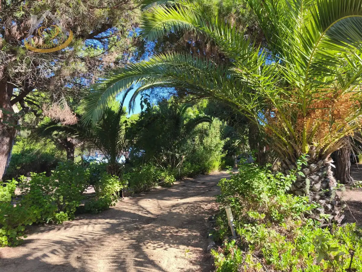 Garten von Grundstücke zum Verkauf in Isla Cristina