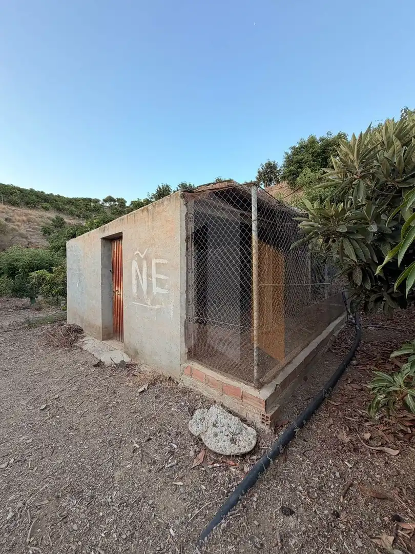 Casa rustica in vendita a Vélez-Málaga ciudad, imagen 11